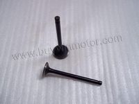 Intake/Exhaust valve 253FMM(CA250)